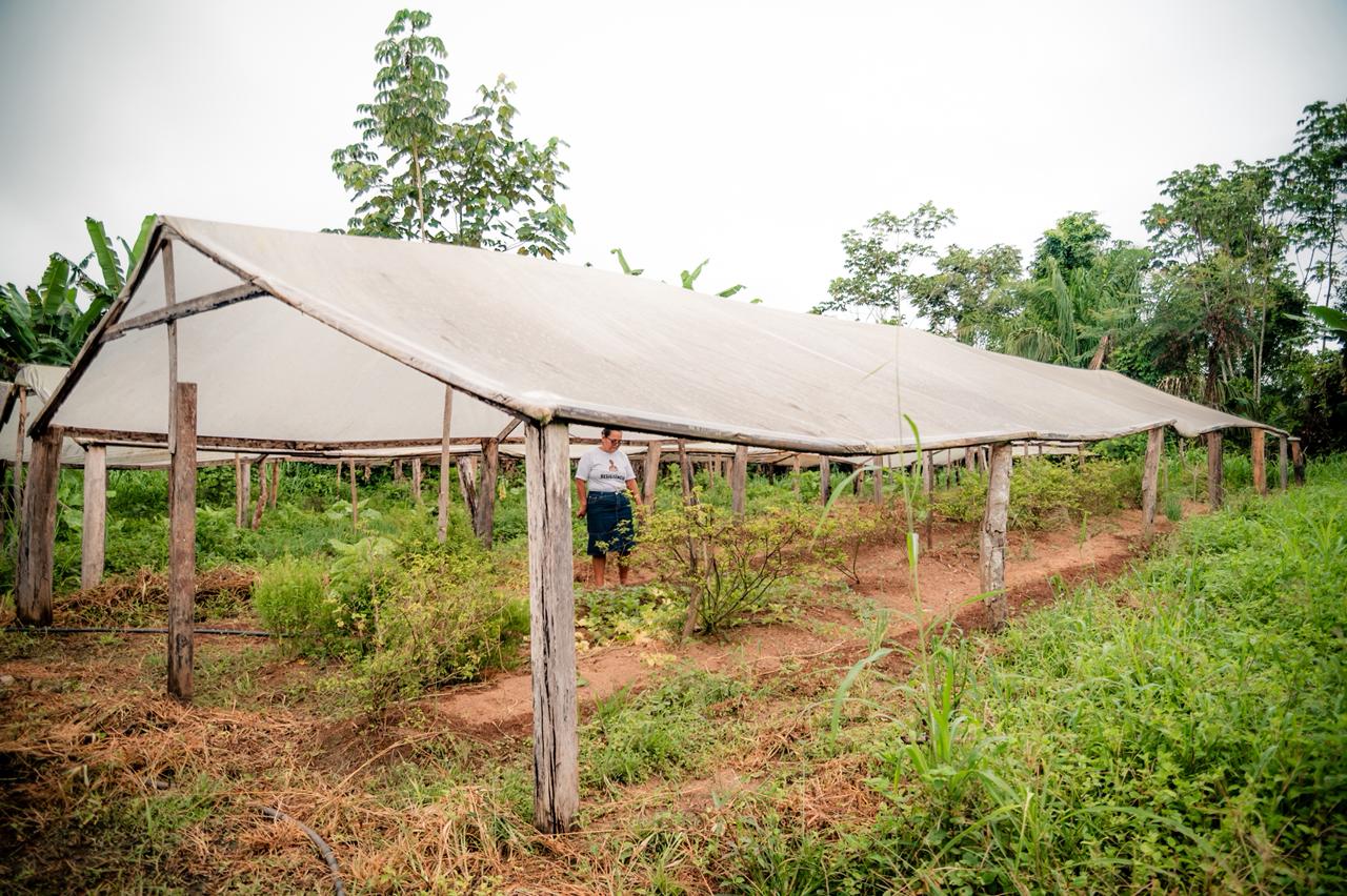 ‘É nossa prioridade investir e fazer a diferença na vida do produtor rural’, afirma Mailza Assis na Transacreana