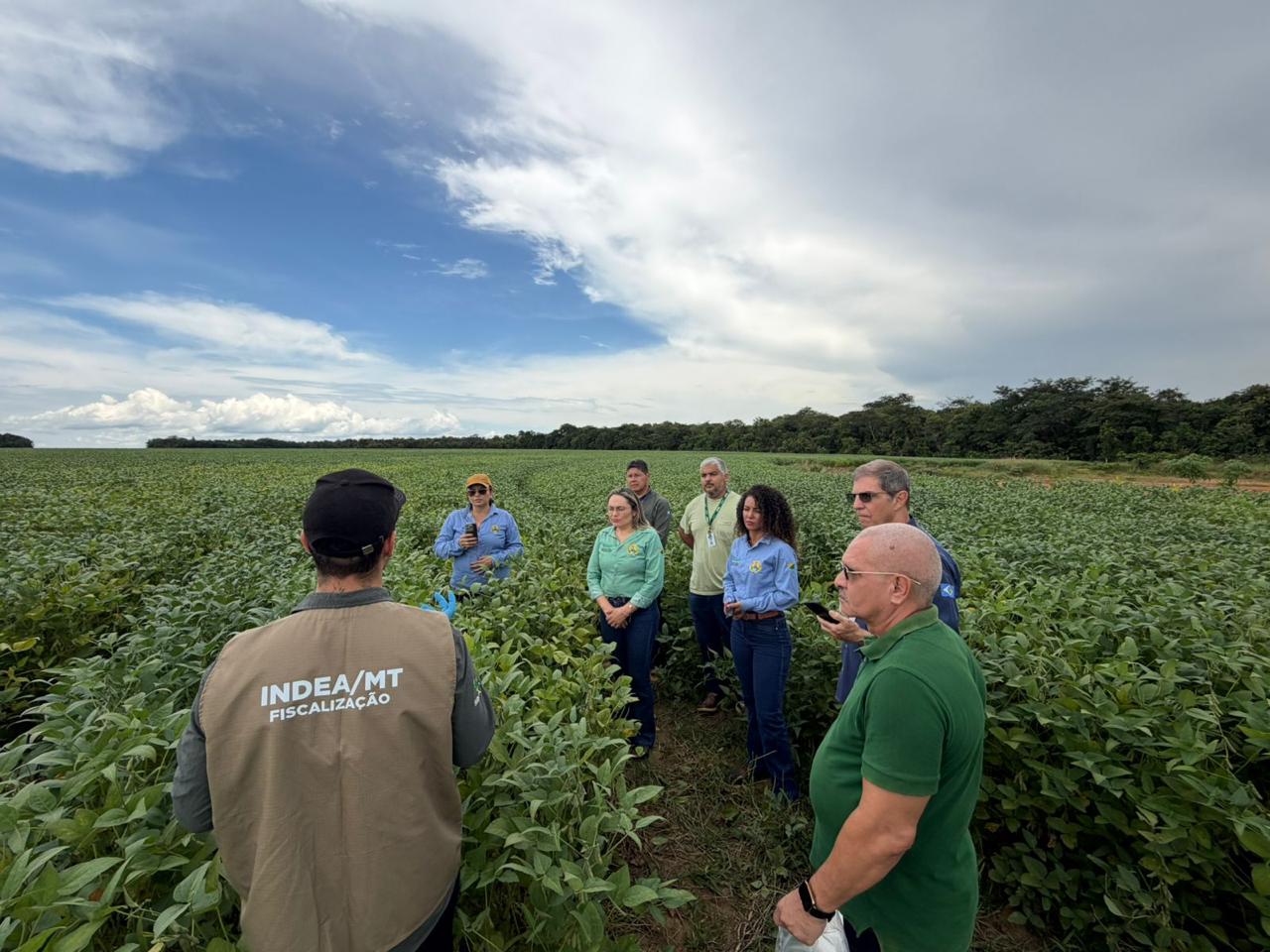 Missão técnica do Idaf em Mato Grosso reforça ações de defesa sanitária vegetal no Acre