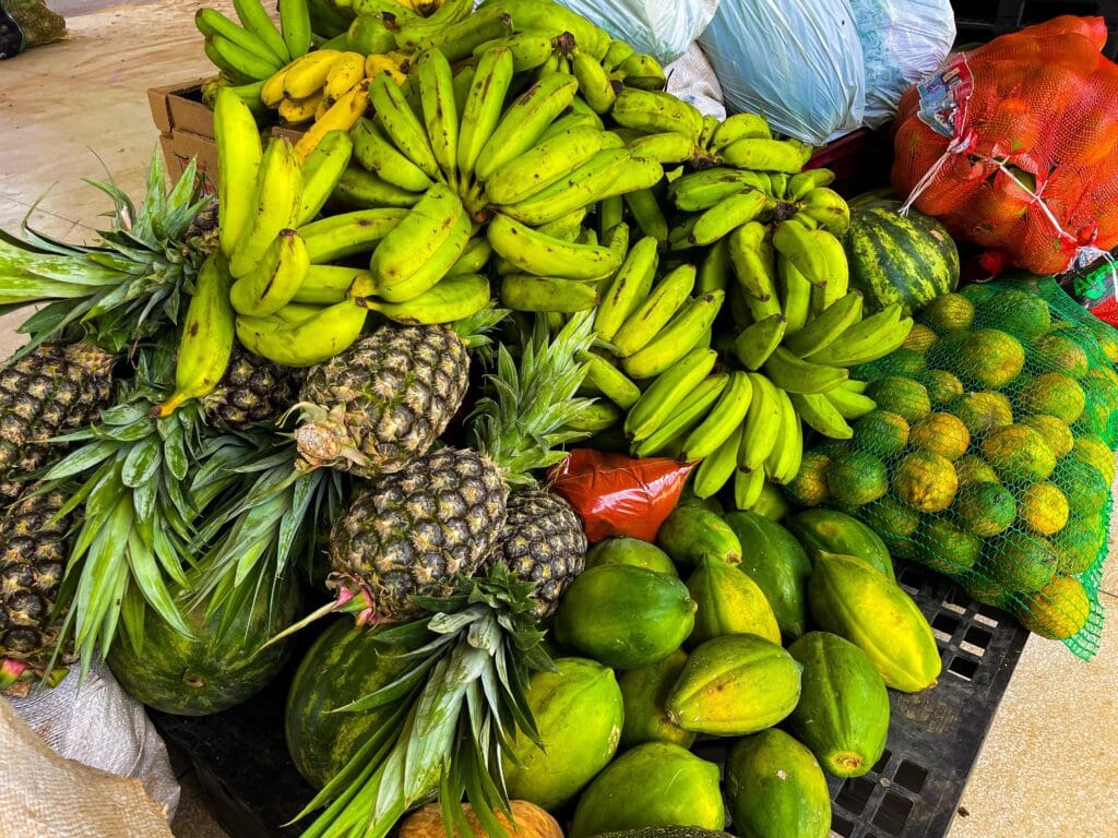 Programa Estadual de Aquisição de Alimentos fortalece agricultura familiar e amplia oferta de alimentos no Acre