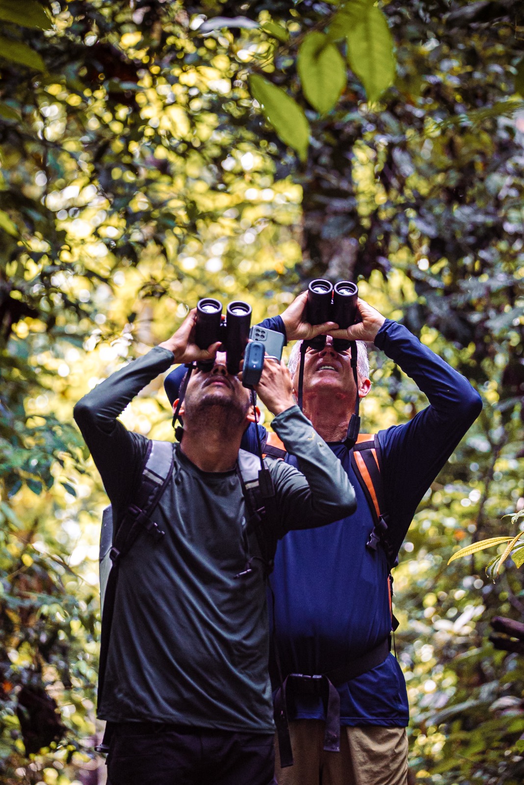 Condutor compartilha trajetória e dicas de observação de aves no Acre em palestra gratuita