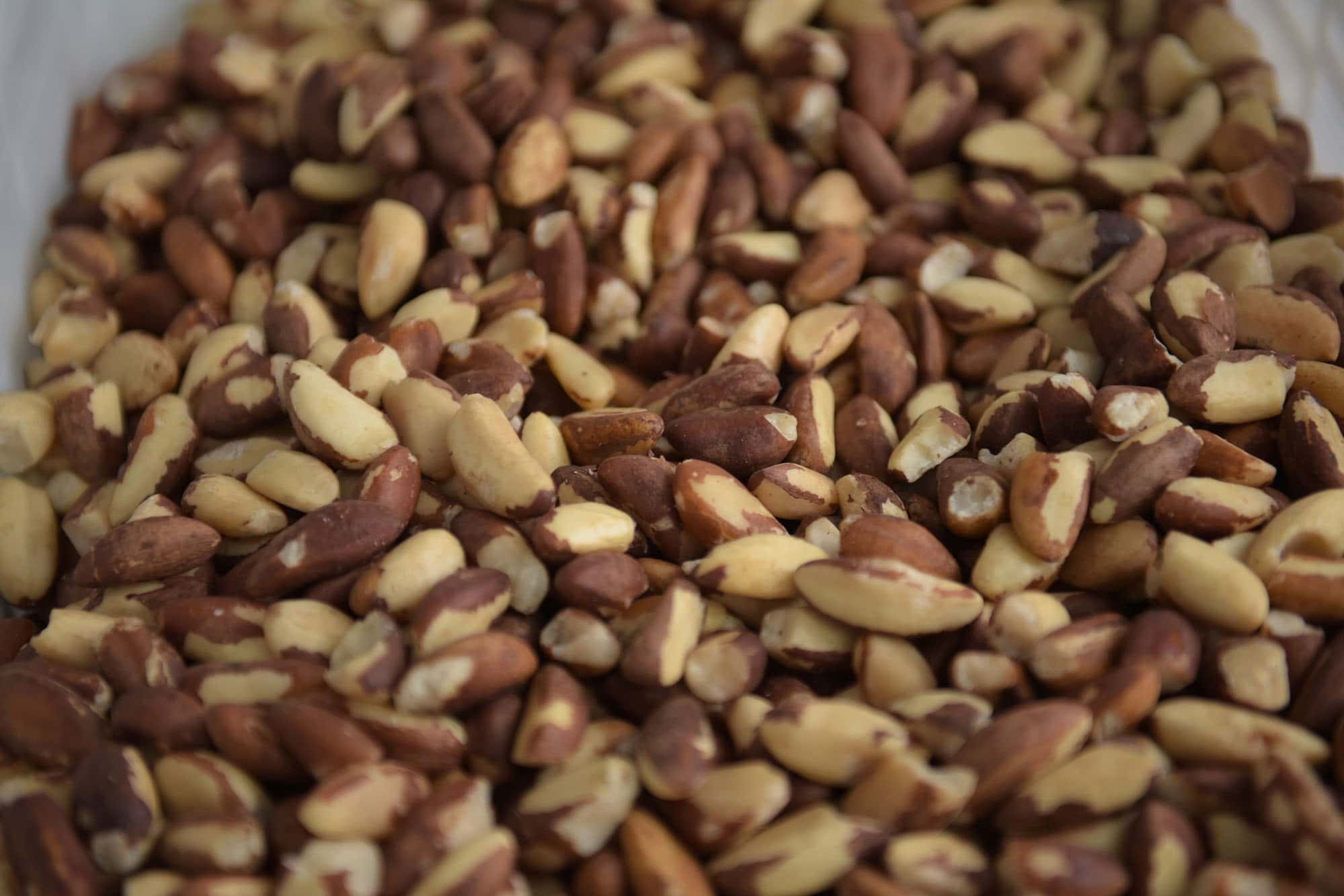 Assis Brasil volta a ser a principal porta de saída das exportações acreanas após 9 anos