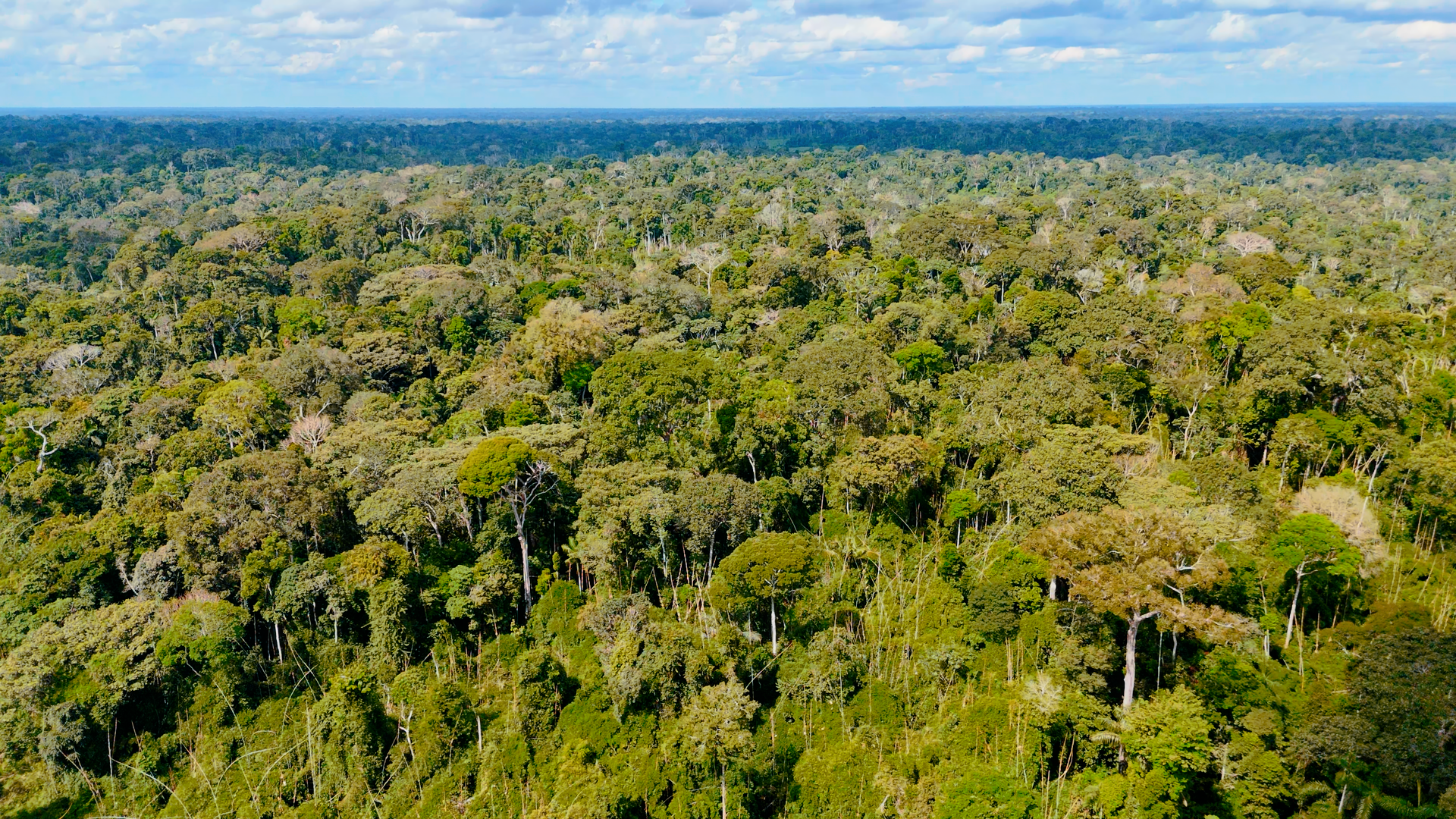 Nova norma permite embargo remoto em áreas com irregularidades ambientais no Acre