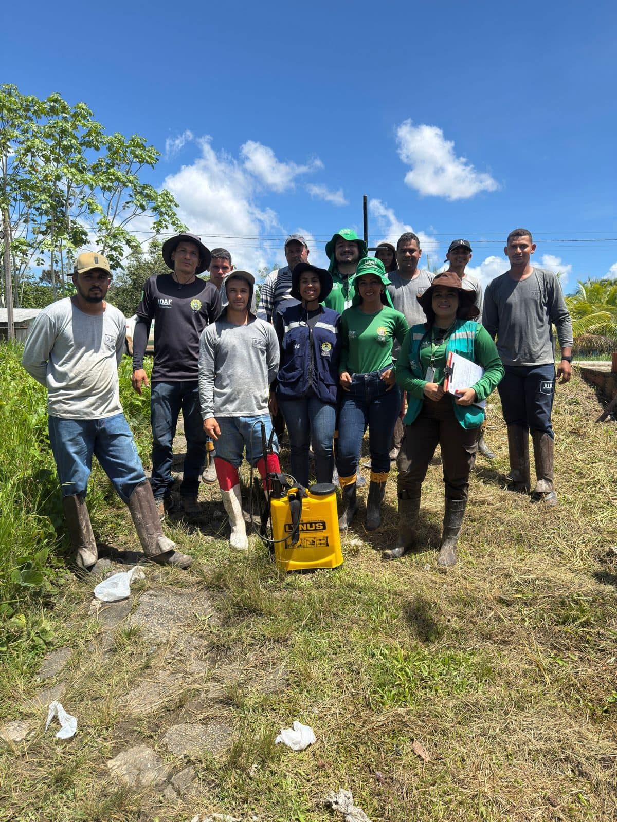 Idaf amplia ações de monitoramento no Juruá para proteger a produção de banana contra a praga moko da bananeira