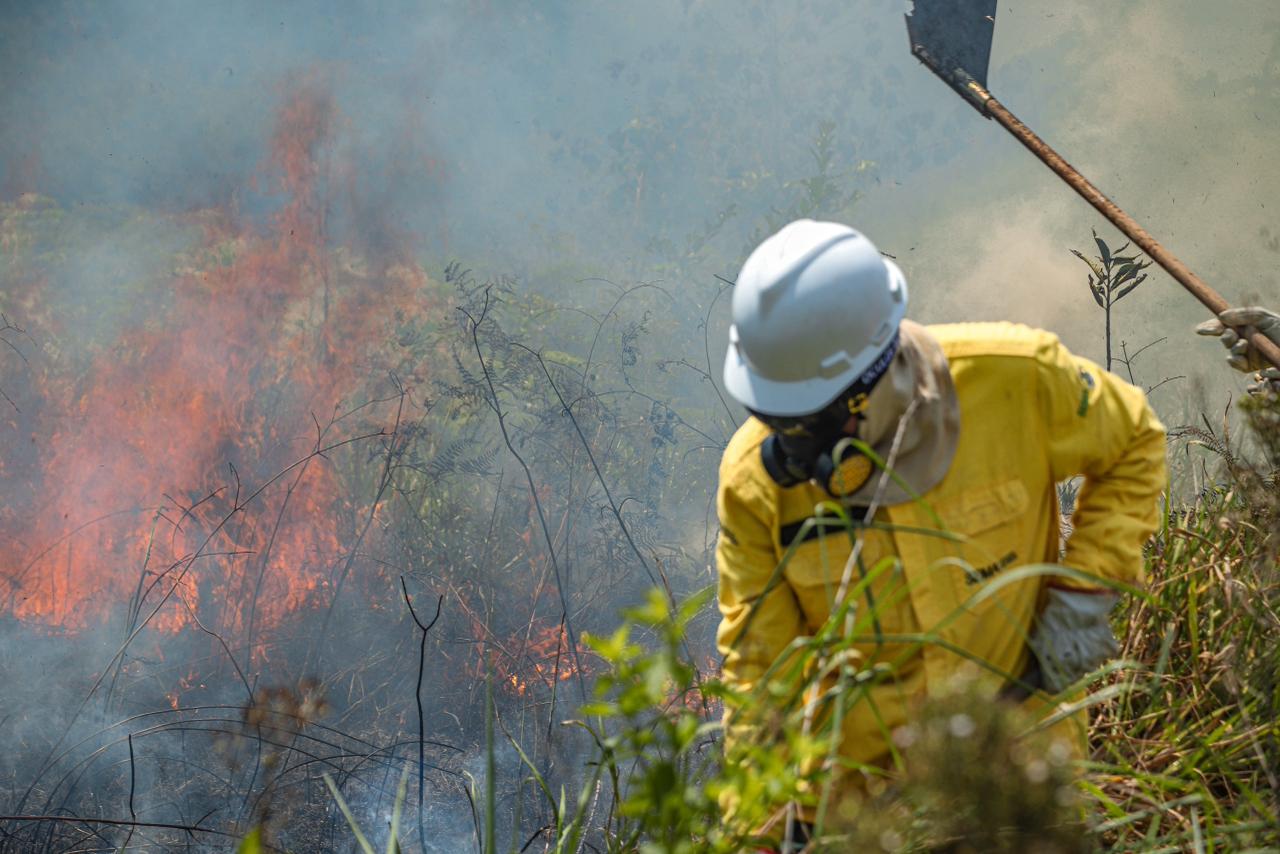 Governo prorroga o prazo para recursos da homologação das inscrições de brigadistas comunitários