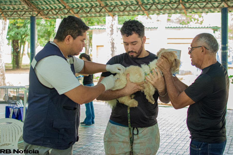 Prefeitura de Rio Branco promove grande ação de proteção animal com 936 vacinas e 30 adoções