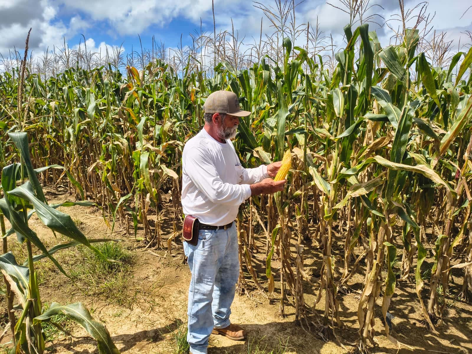 Produtor beneficiado pelo Pecuária Mais Eficiente recebe apoio para produção de silagem