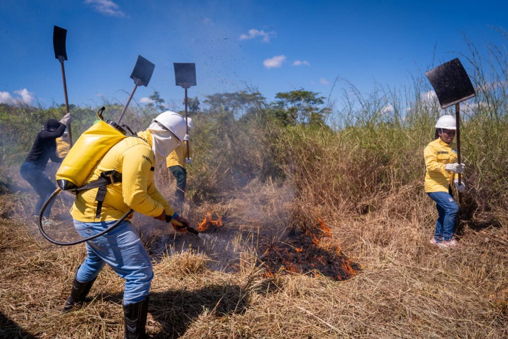 Processo seletivo para brigadistas comunitários entra na fase final com curso de formação e simulação de combate a incêndio