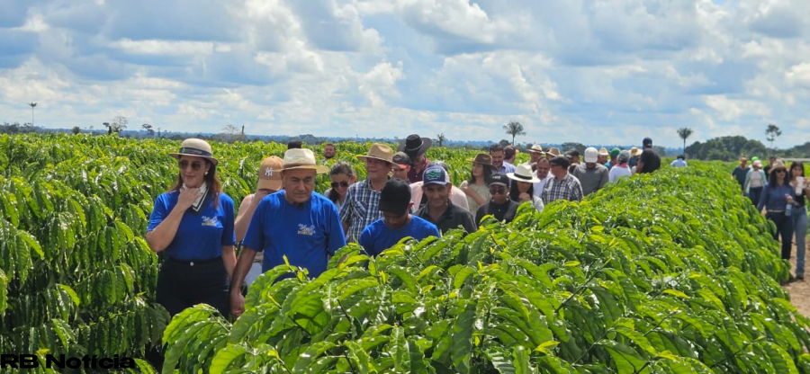 Bocalom aposta no café como motor econômico e reúne produtores em dia de campo