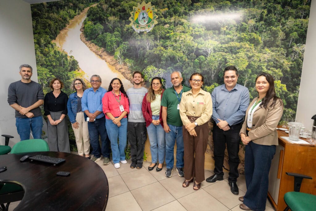 Membros da Câmara Técnica de Meio Ambiente aprovam proposta de resolução sobre licenciamento em áreas com potencial arqueológico