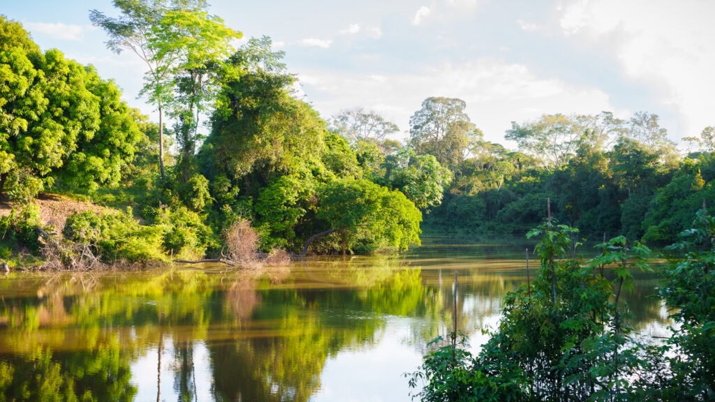 Programa de Resiliência Socioambiental integra conservação, segurança hídrica e desenvolvimento sustentável em Rio Branco