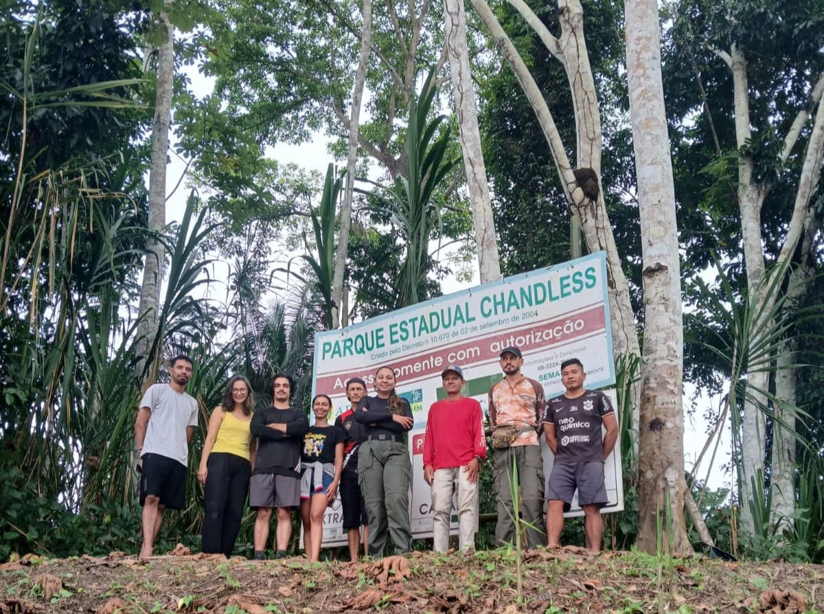 Pesquisa revela 4 novas espécies de formigas no Parque Estadual Chandless