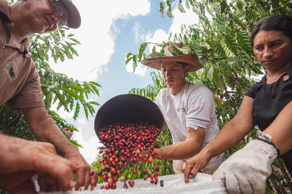 Empresas interessadas em patrocinar o QualiCafé Acre têm até segunda-feira, 8, para efetuar credenciamento