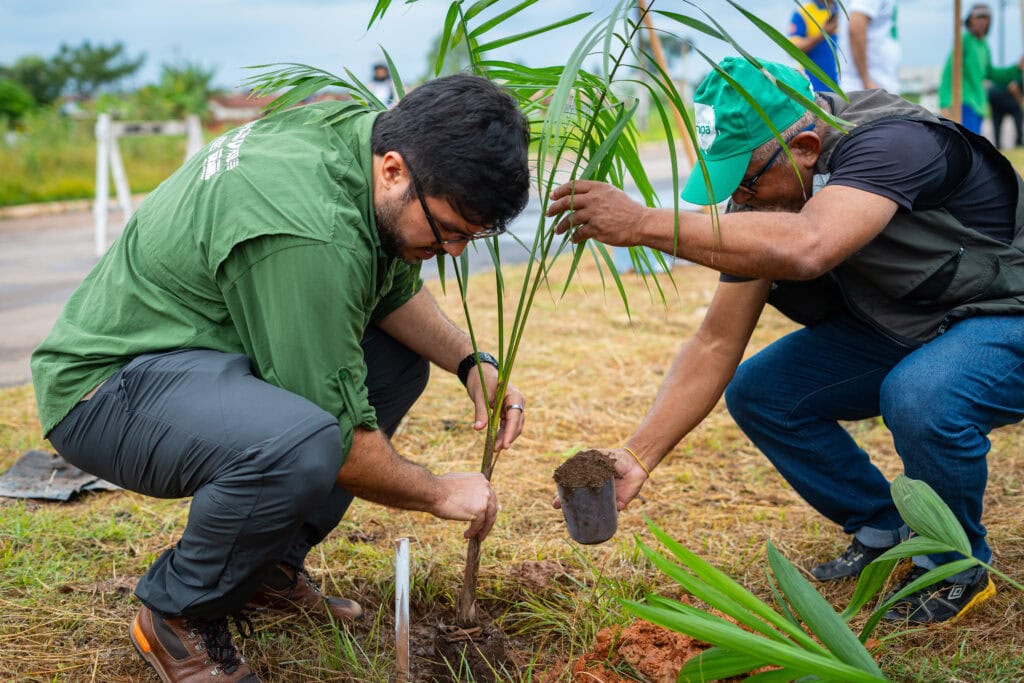 Projeto Consciência Limpa promove plantio de 100 mudas em ação do Mês do Meio Ambiente