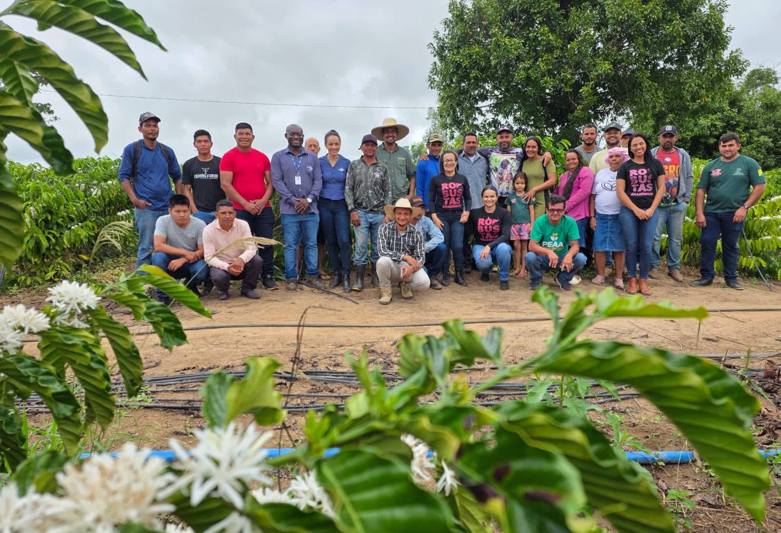 Governo do Acre promove treinamento em colheita e pós-colheita do café robusta amazônico