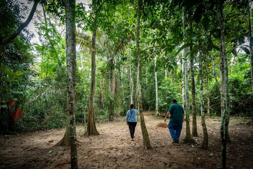 Área de Proteção Ambiental Igarapé São Francisco é estratégica para a segurança hídrica e o desenvolvimento sustentável em Rio Branco