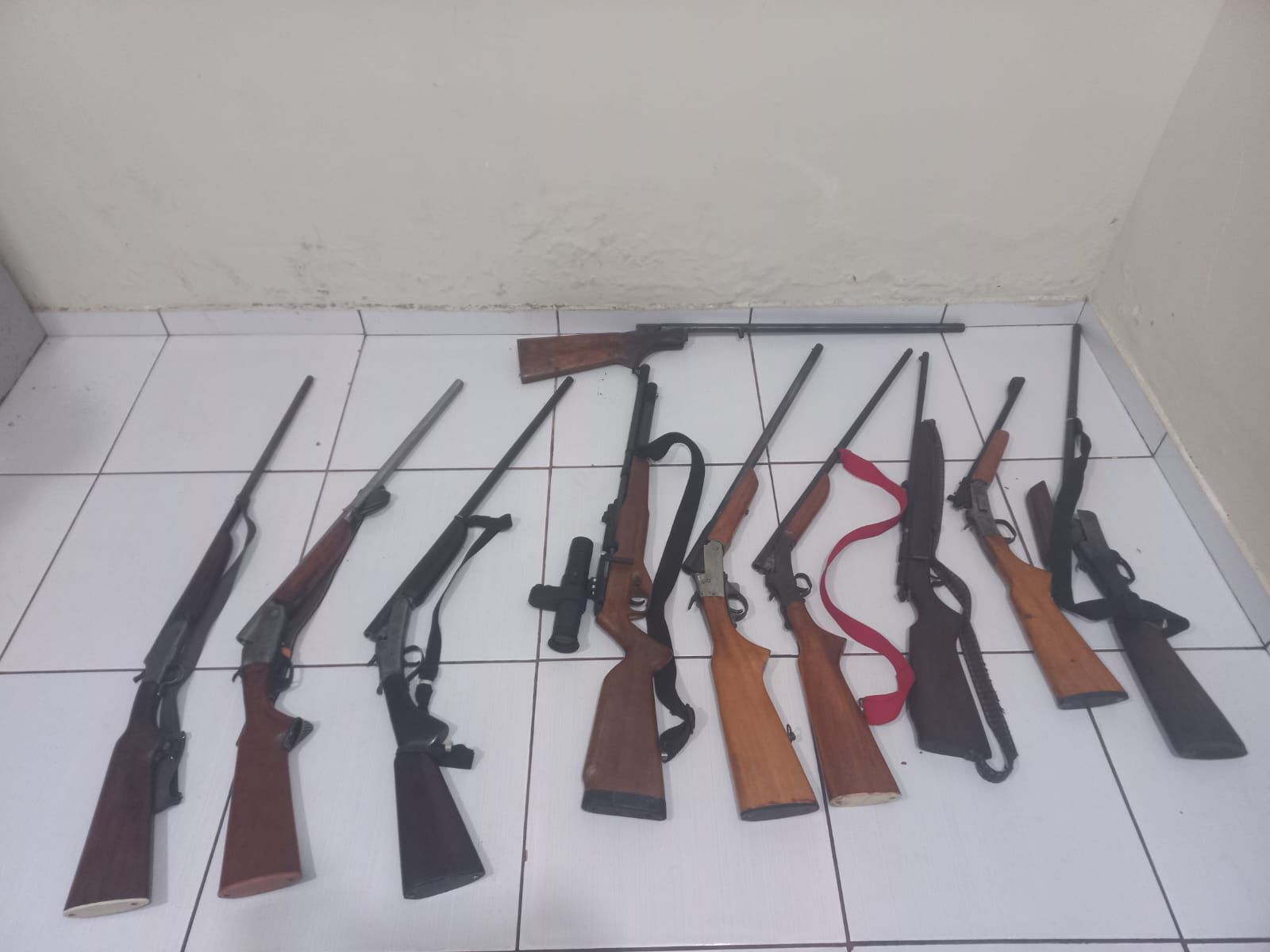 Polícia Civil apreende armas e munições após investigação de violência doméstica em Capixaba