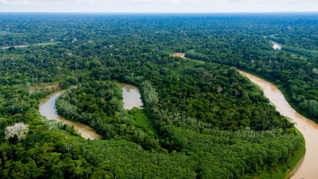 Ações integradas do governo contribuem para o menor registro de focos de calor em sete anos no Acre