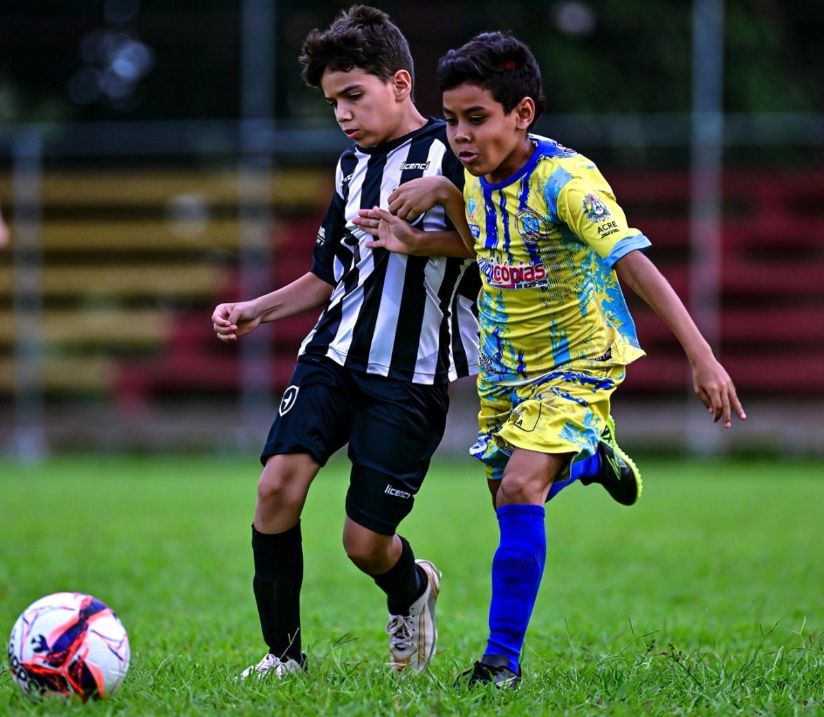 Sub-11: confrontos das quartas de final ocorrem dia 1º de novembro