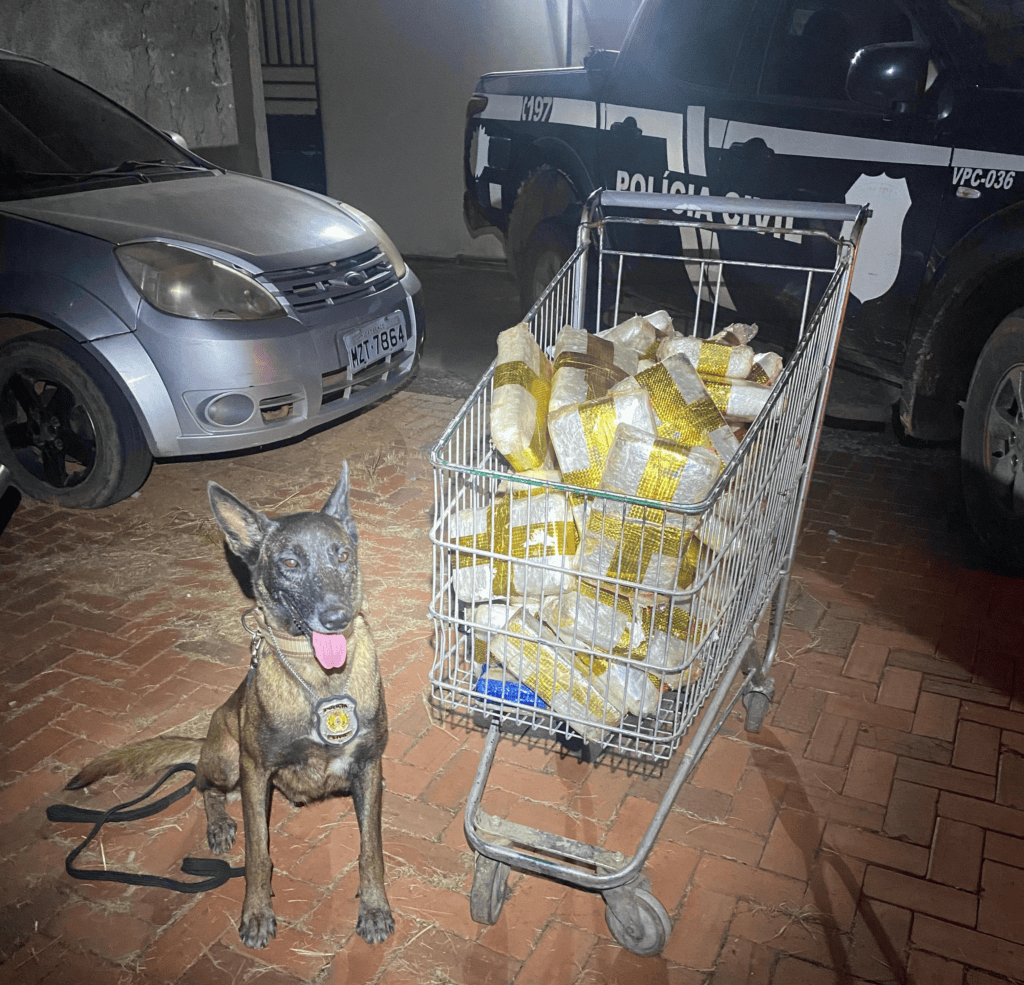 Polícia Civil do Acre apreende mais de 50 kg de drogas avaliadas em R$ 300 mil em transportadora de Rio Branco