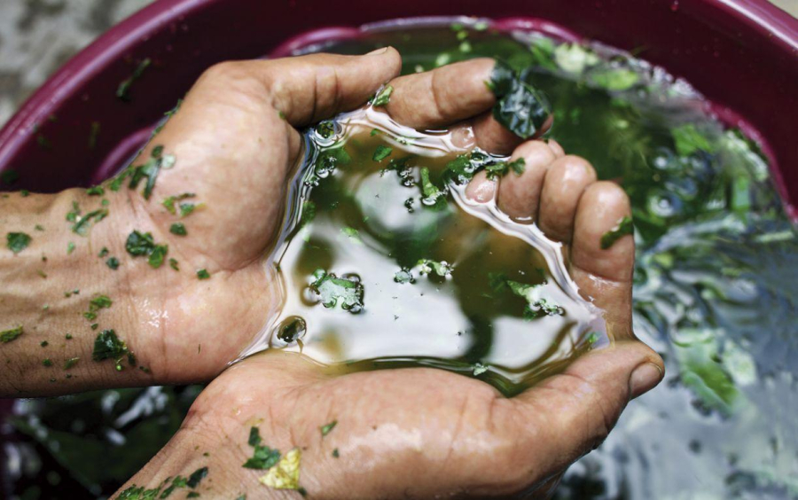 Rituais simples e rápidos para atrair sorte na sexta-feira 13
