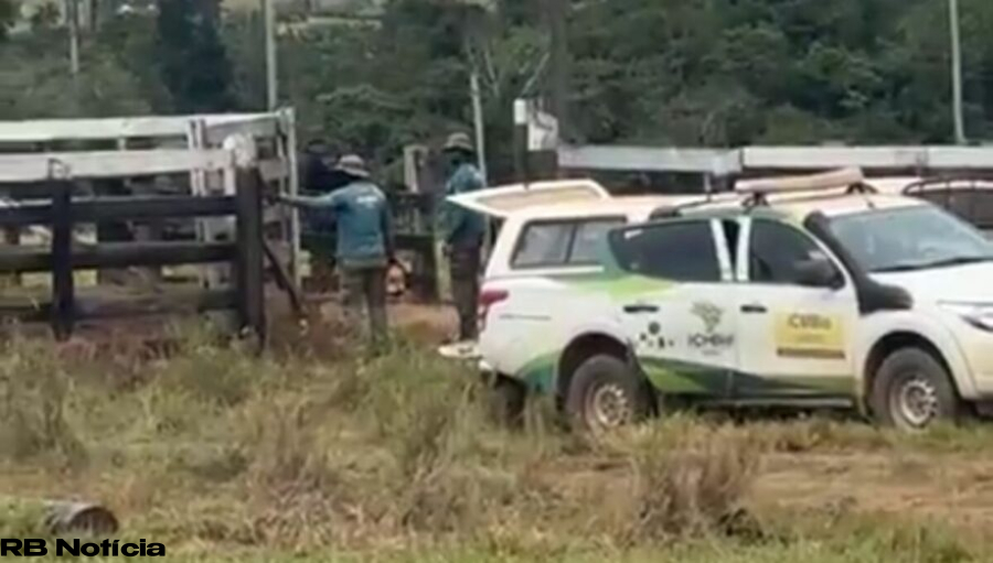 Com marreta e silêncio, ICMBio destrói a esperança de uma família na Reserva Chico Mendes