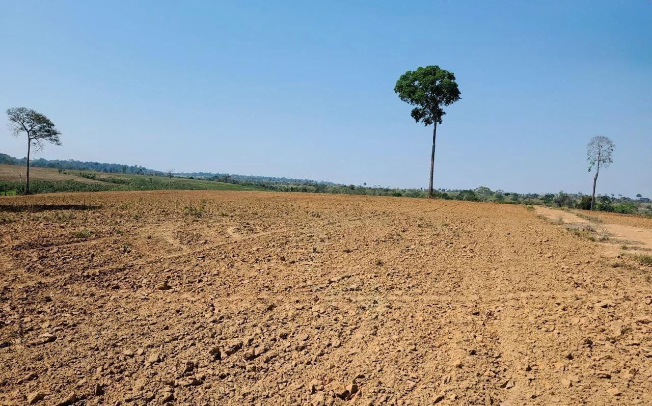Acre inicia período do vazio sanitário da soja para proteger lavouras e garantir produção sustentável